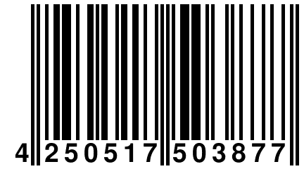 4 250517 503877