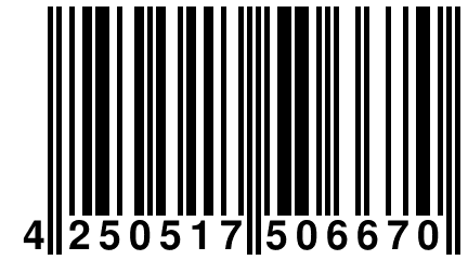 4 250517 506670