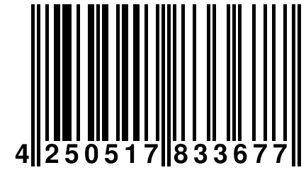 4 250517 833677