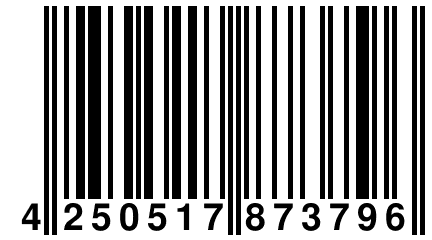 4 250517 873796