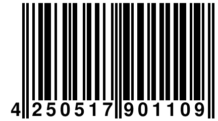 4 250517 901109