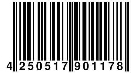 4 250517 901178