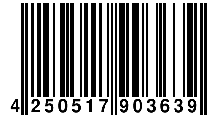 4 250517 903639