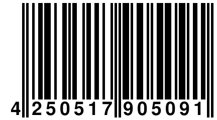 4 250517 905091