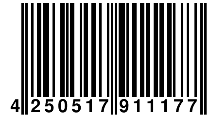 4 250517 911177