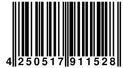 4 250517 911528
