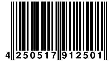 4 250517 912501