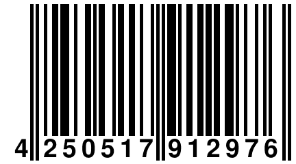 4 250517 912976