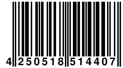 4 250518 514407