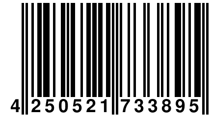 4 250521 733895