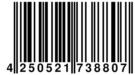 4 250521 738807