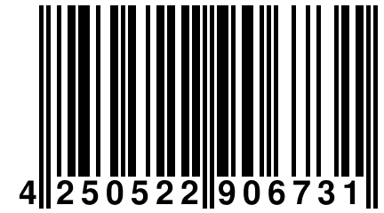 4 250522 906731