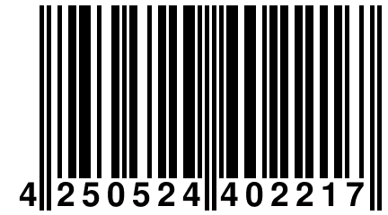 4 250524 402217