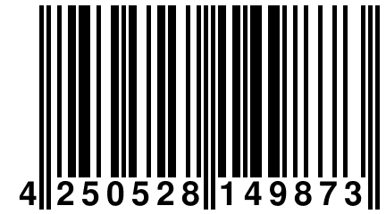 4 250528 149873