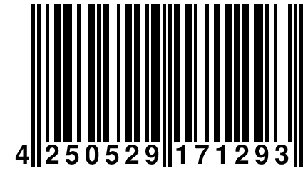 4 250529 171293