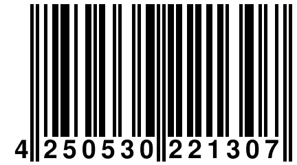 4 250530 221307