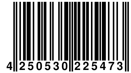 4 250530 225473