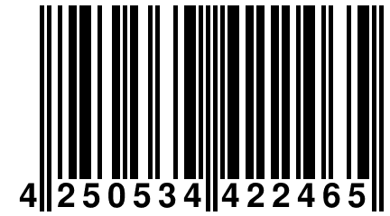 4 250534 422465
