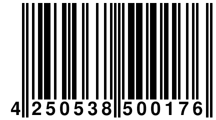 4 250538 500176