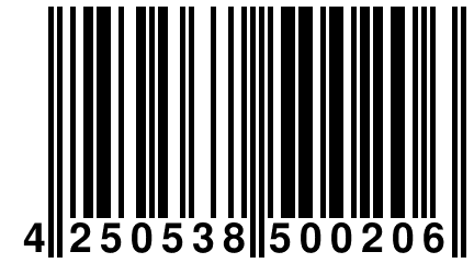 4 250538 500206