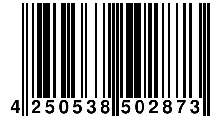 4 250538 502873