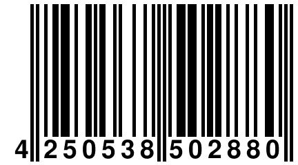 4 250538 502880