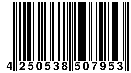 4 250538 507953