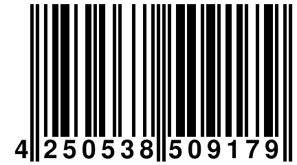 4 250538 509179