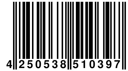 4 250538 510397