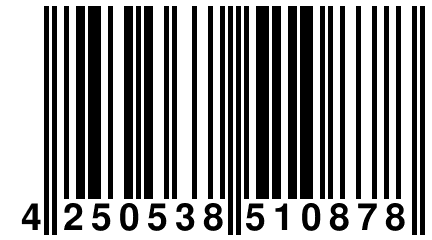 4 250538 510878