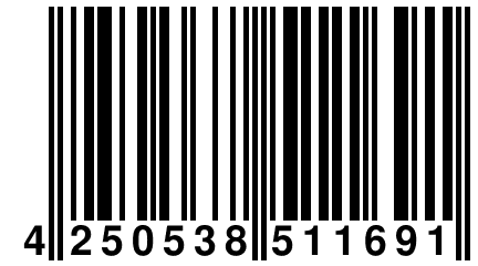 4 250538 511691