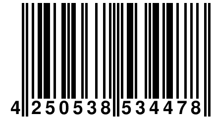 4 250538 534478
