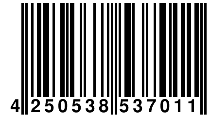 4 250538 537011