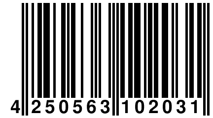 4 250563 102031