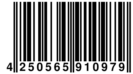 4 250565 910979