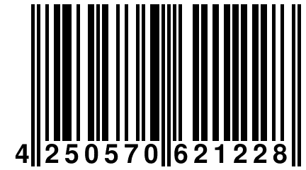 4 250570 621228