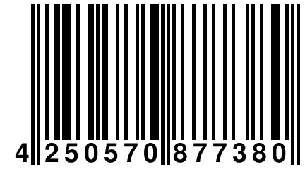 4 250570 877380