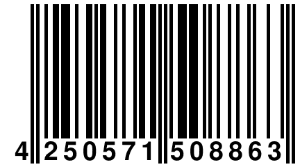4 250571 508863