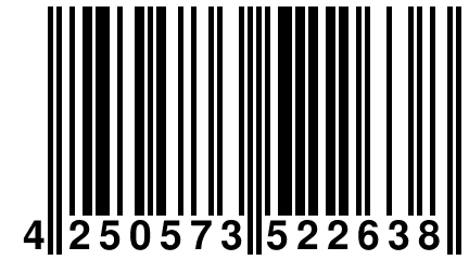 4 250573 522638