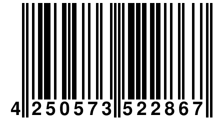 4 250573 522867