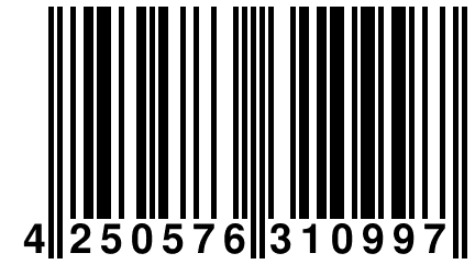 4 250576 310997