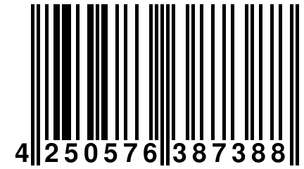 4 250576 387388