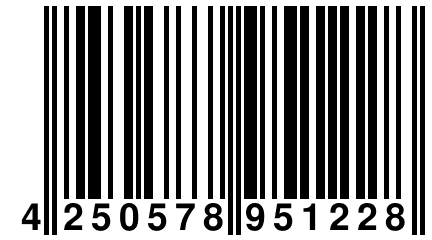 4 250578 951228