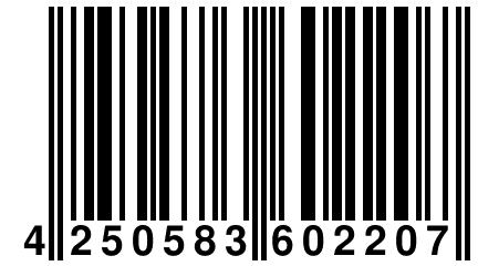 4 250583 602207