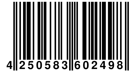 4 250583 602498