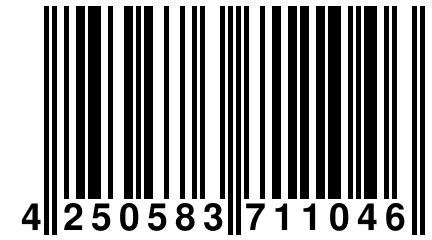 4 250583 711046