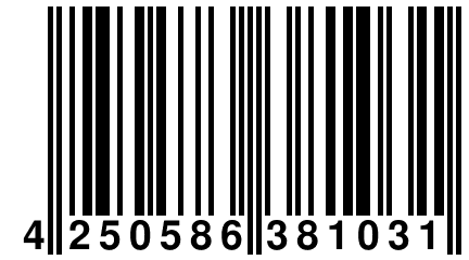 4 250586 381031
