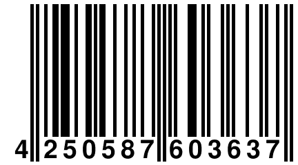 4 250587 603637