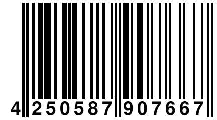 4 250587 907667