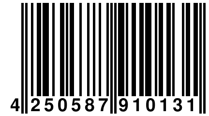 4 250587 910131